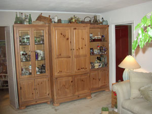 Bethpage Charming Starter Home - Living Room