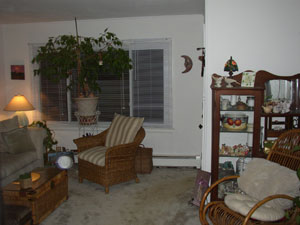 Bethpage Charming Starter Home - Living Room