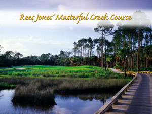 Luxurious Oceanfront Living - Rees Jones Creek Golf Course